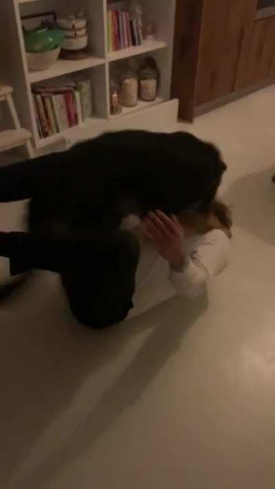 My puppy reunited with my boyfriend