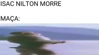 Meme