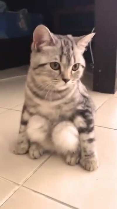 keeps sitting like this and it makes me so uncomfortable.