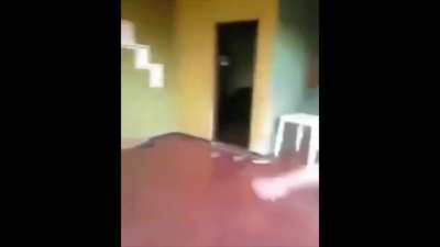 Ninja