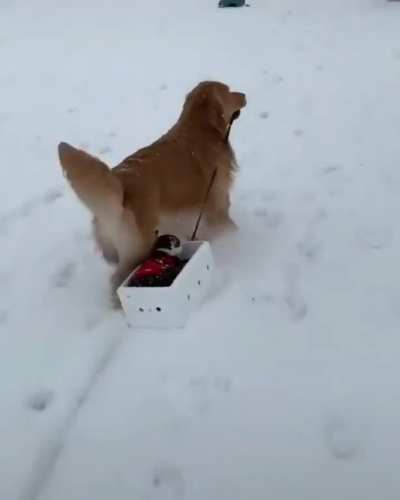 Riding in snow