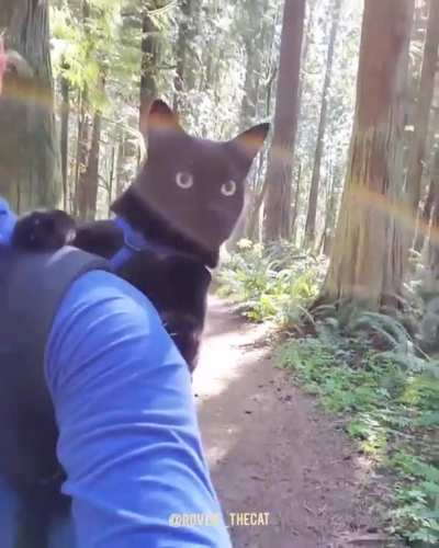 Wilderness hike