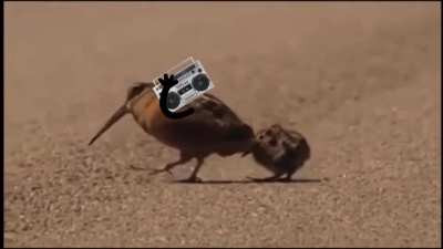 That’s my jam!