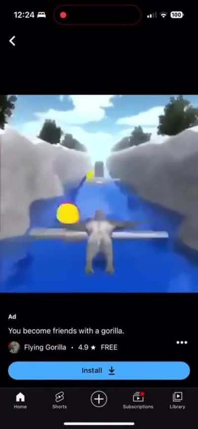 Gorilla