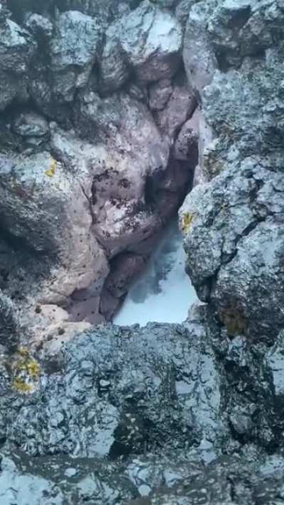 WCGW filming a blowhole