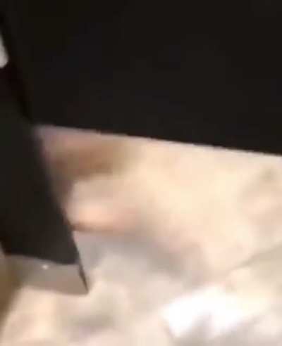 be gone kid