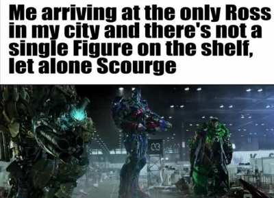 Not actually based on a true story. I found the Cheetor and Scorponok retools, but I didn't really want them that much. Happy for those who managed to find something good though.