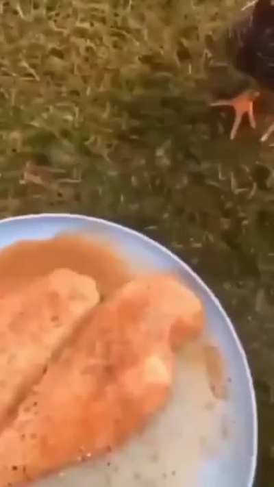 Cannibalism