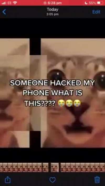 🙀