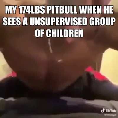 He don't bite