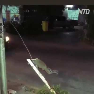 Wait till the end....
