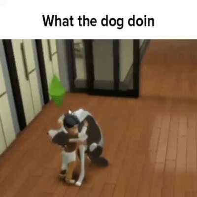 dåge