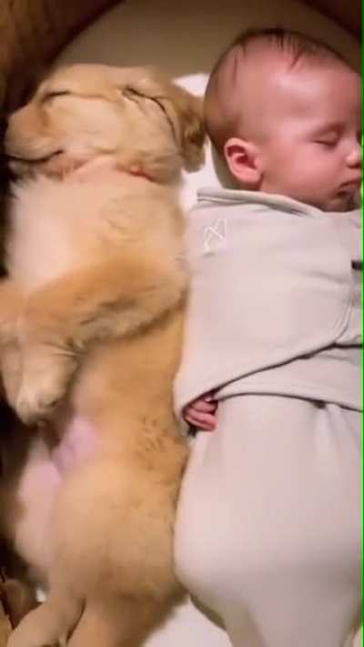 Cuteness Overloaded