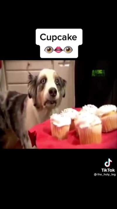 Cupcake