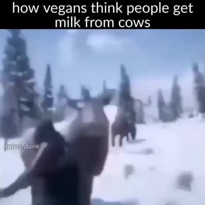 yes