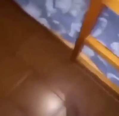 Bro? 🤨📷