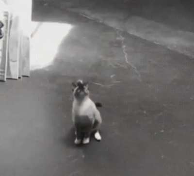 Maybe maybe maybe