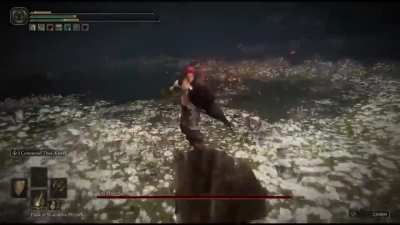 One Piece mod on Elden Ring