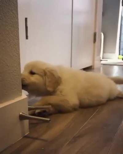 Boing