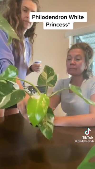 Specialist plant seller plays price is right with her Mother