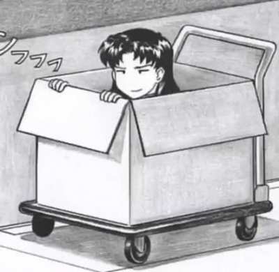 OH NO SHE'S IN THE BOX