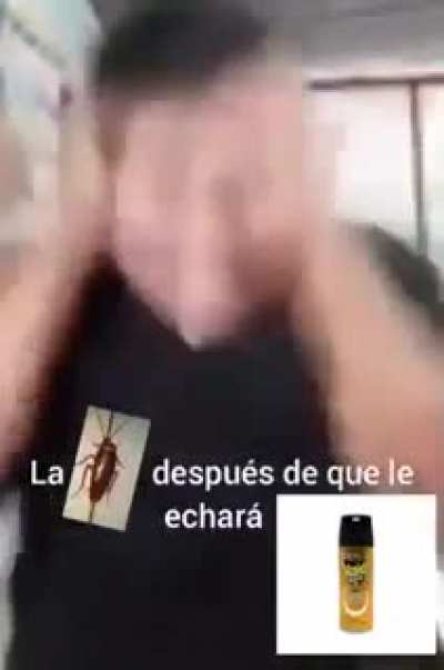 ª