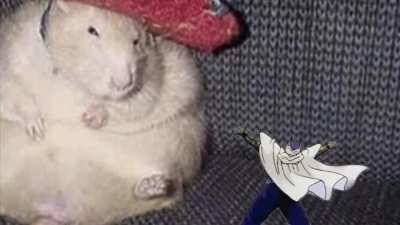 Piccolo and the rat