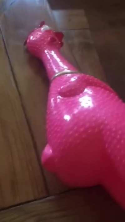Wait for it...