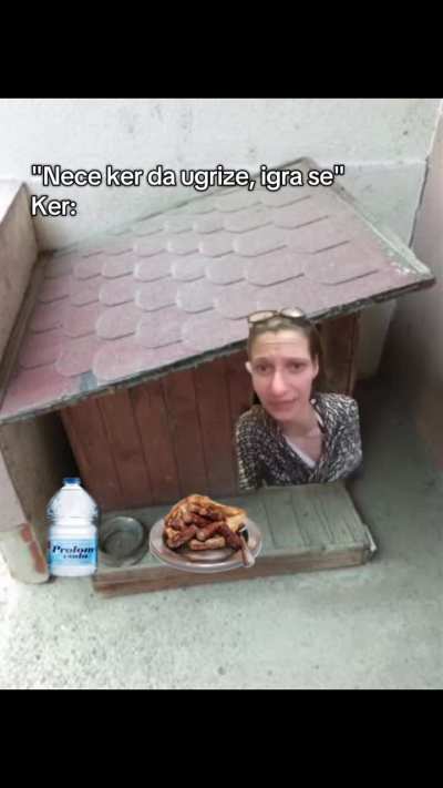 Ma neće on ništa
