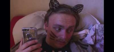 Cats at 3am (Credit: Gus Johnson)