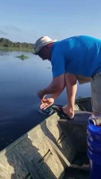 Man catches massive catfish