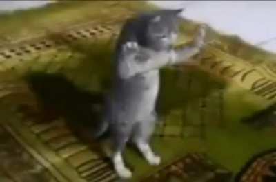 Ne demek allah yok