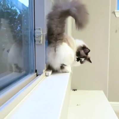 Like my butt?