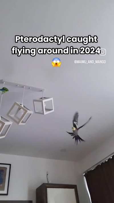 Incredible news!
