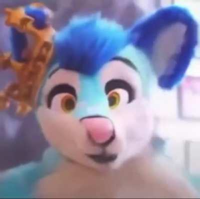 Fluke_irl