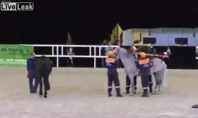 Using a horse to transport a stretcher