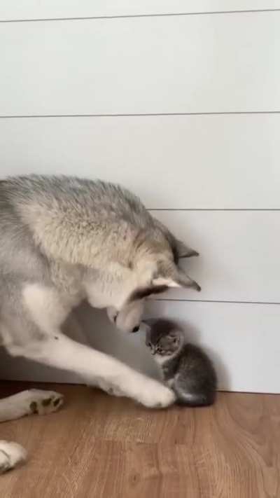 thats how they met