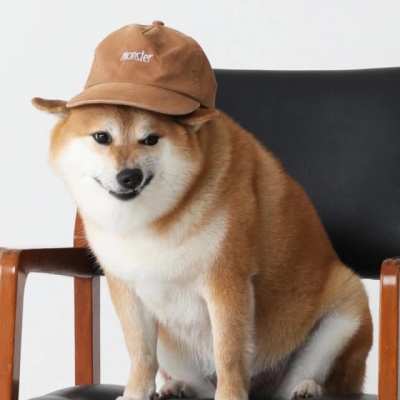 doge