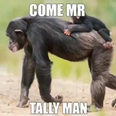 Apes Stronger Together theme song