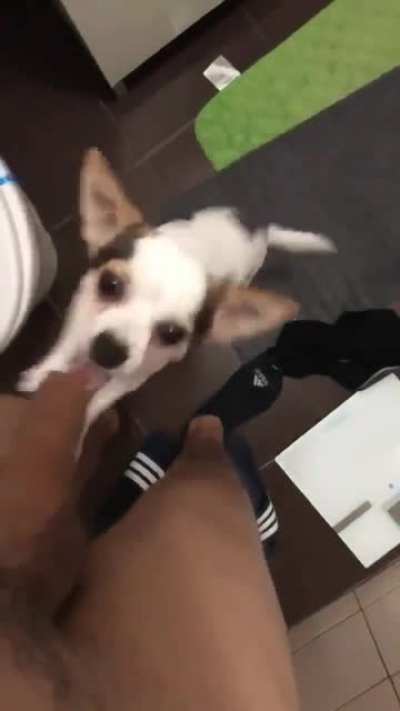 owwwwwww