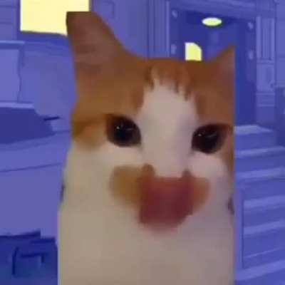 kat