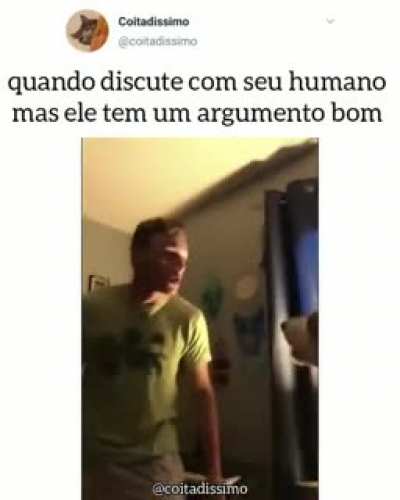 Por um momento achei que o cachorro estava debochando do humano já que ele errou uns 3 advérbio caninos