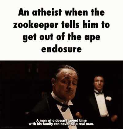 🐒🐵🙊🙉🙈