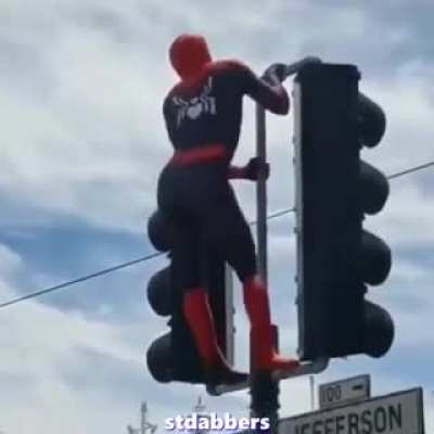 damn, spider man