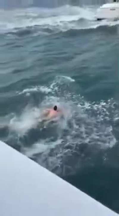 front flip dive