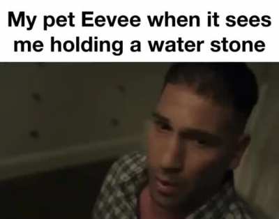 Sus