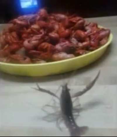 Revenge your for your kind crawfish!!