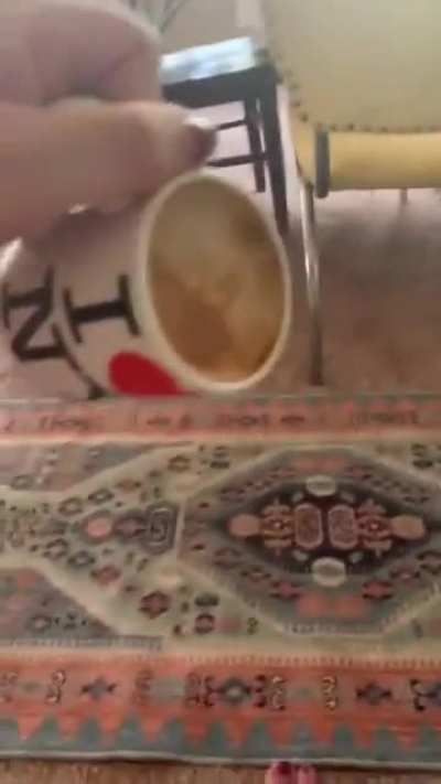Revenge of the coffee