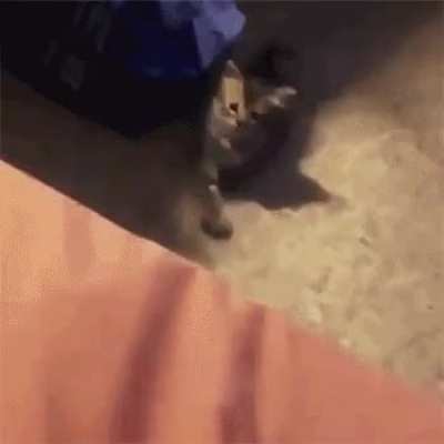 Come here. No you come here