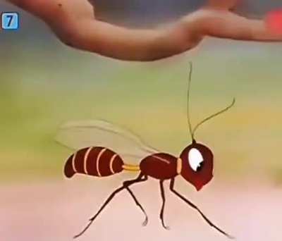 Life of insects ugh